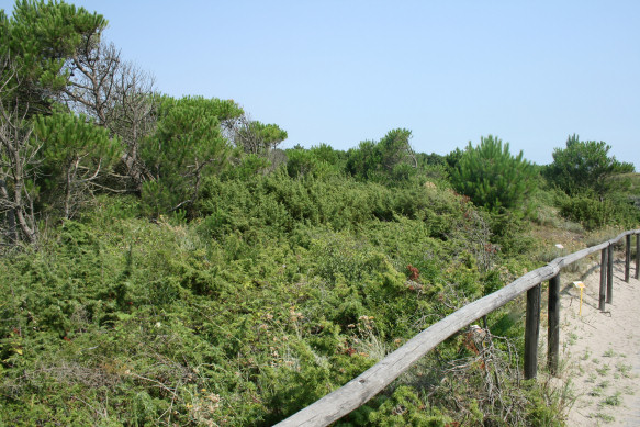 Giardino Botanico Litoraneo del Veneto